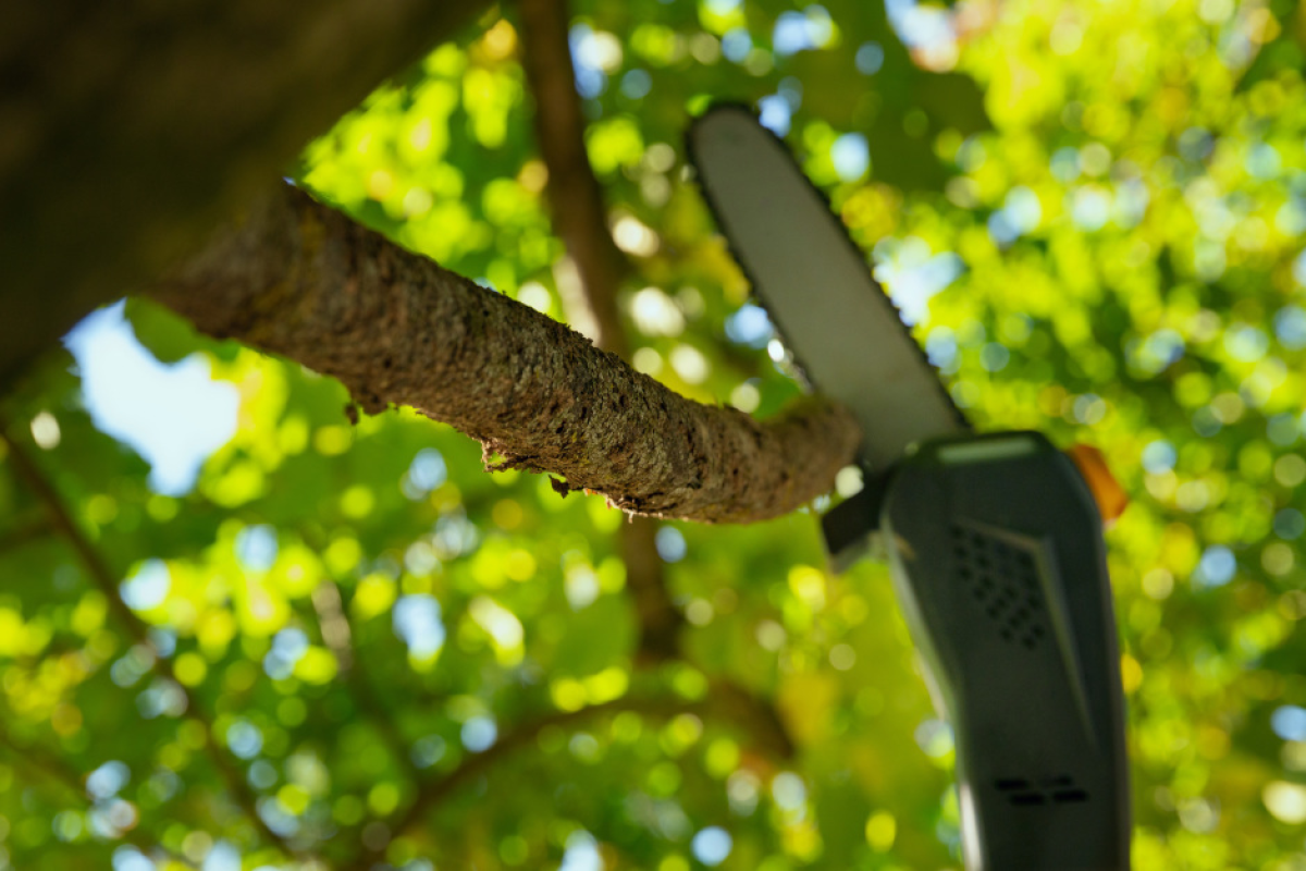 STIGA Multi-tool pe baterie MT 500e (fără baterie și încărcător) – cumpără online România